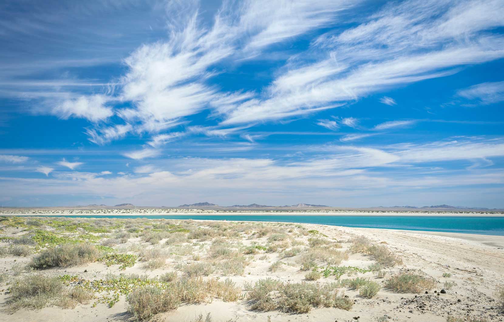 The view of the beach at Puerto Peñasco's famous low tide.