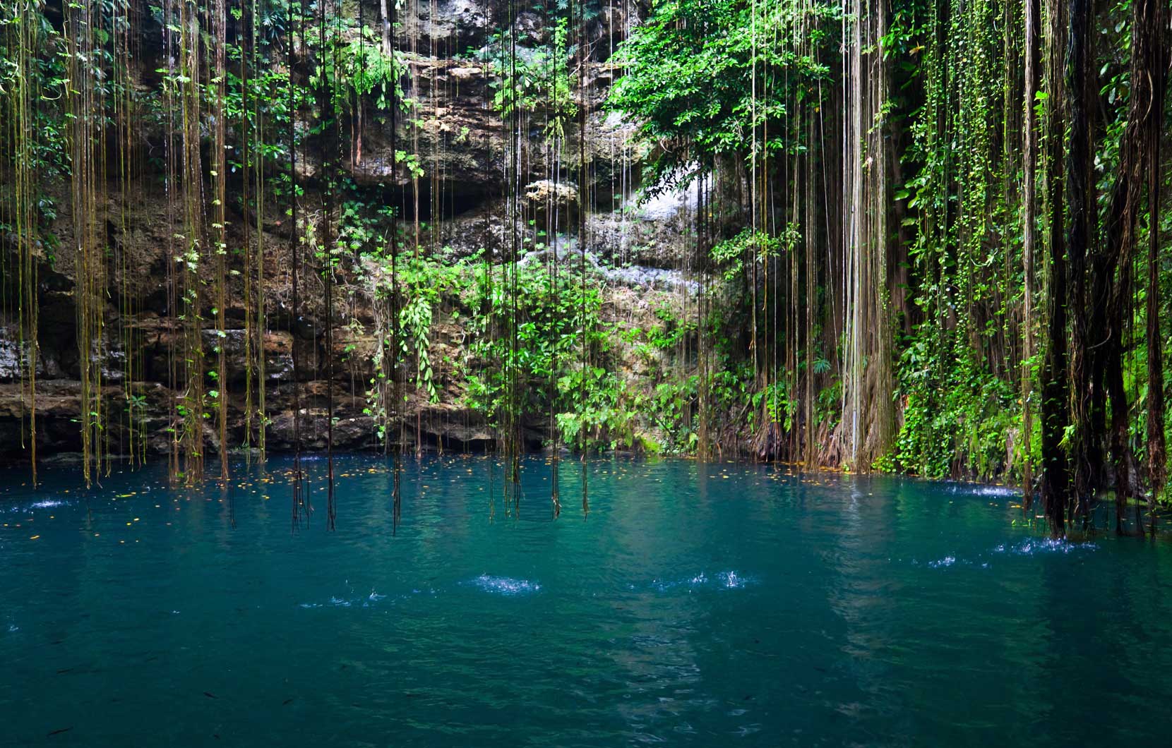 Cenotes were an important source of fresh water for the ancient Mayans.