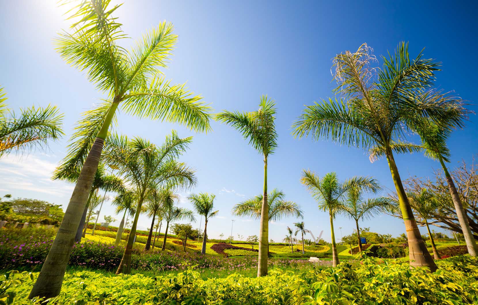 The resort’s new entrance was designed by Vidanta Chief Architect.