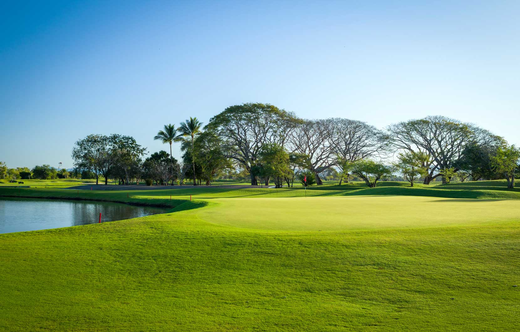 Tee Time Norman Signature Golf Course Is Open The Vidanta Traveler