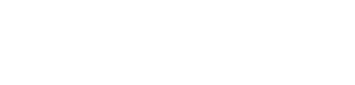 The Vidanta Traveler
