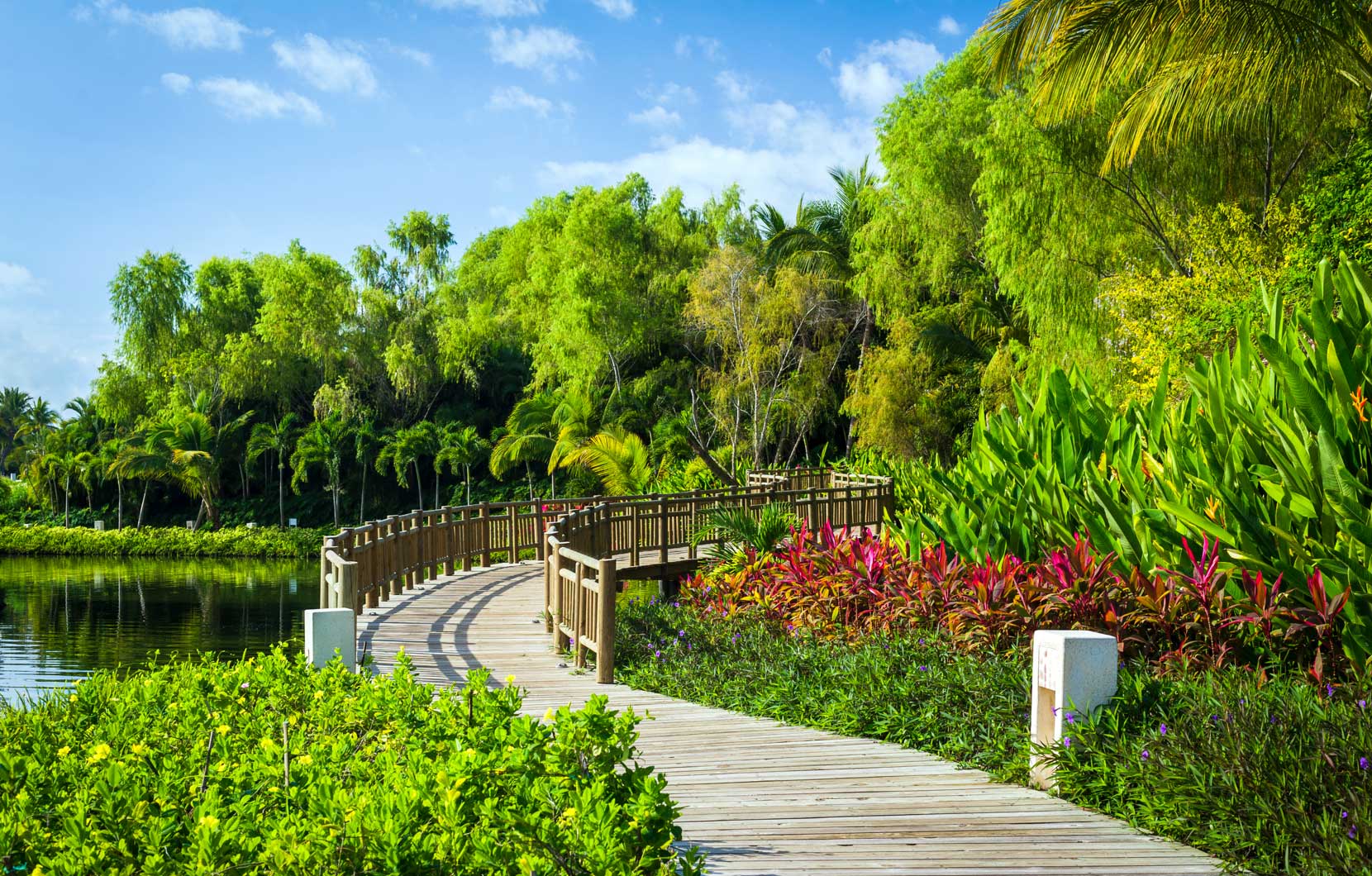 Our amazing team of 273 gardeners keep our Vidanta destinations beautiful.